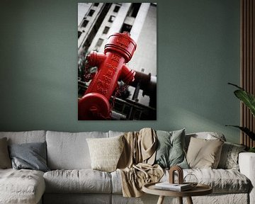 Roter Hydrant von Eric Sweijen