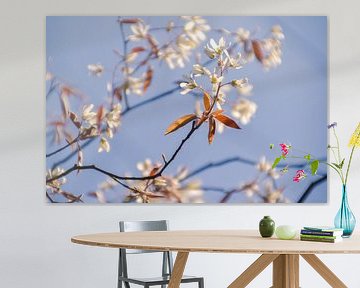 Le trac du printemps en photo sur Janneke Spijkers