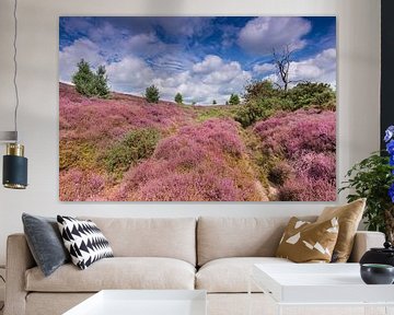 Hills with Heather in bloom near ARnhem, The Netherlands by Rob Kints