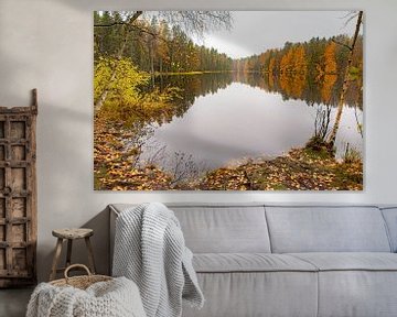 Landschap in herfst met meer en bos in Finland