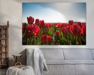 Rote Tulpen von Jacky van Schaijk