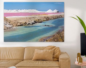 Landschap met roze zoutmeer en bergen zout op het eiland Bonaire van Ben Schonewille