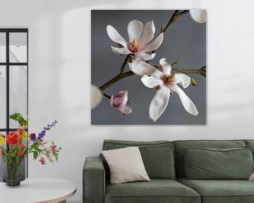 Soft pink magnolia van Chantal Koster