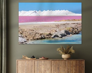 Landscape with mountains of white salt and pink salt lake on Bonaire by Ben Schonewille