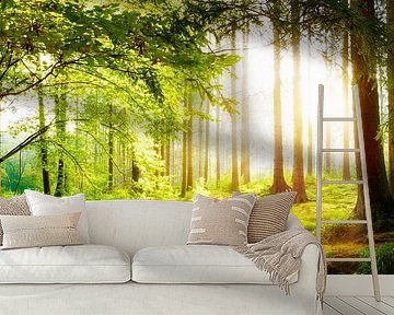 Beautiful forest in spring with bright sunlight in the fog by Günter Albers