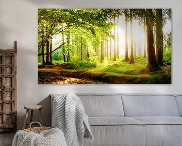 Wunderschöner Wald im Frühling mit hellen Sonnenlicht im Nebel von Günter Albers