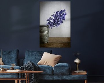 Hyacinth in jar by Maaike Zaal
