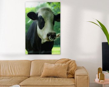 Een hollandse koe/A dutch cow van Nicolle Rietman