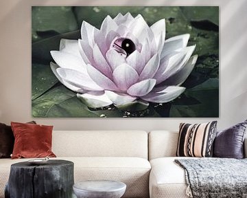 Yin Yang Lotus Flower van Jacky