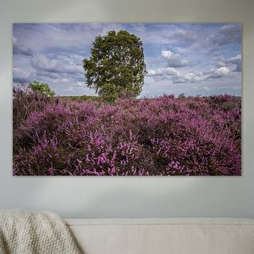 Bruyère fleurie avec arbre