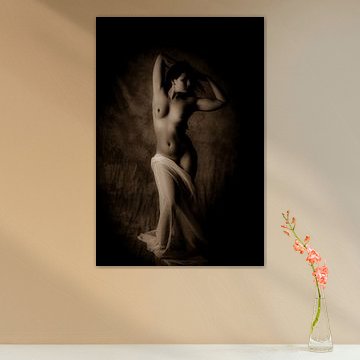 Vintage photo of a sexy posing woman with a naked body
