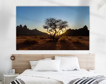 Woestijnboom tijdens zonsondergang van Jeroen Kleiberg
