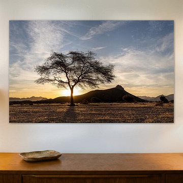 Les premières lueurs du jour