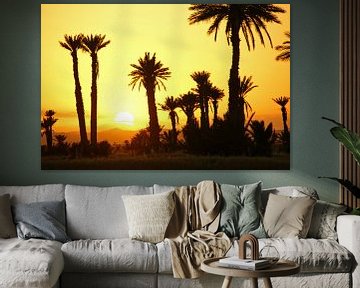 zonsondergang met palmen van wil spijker