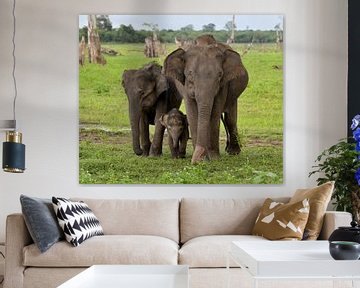 family of three Asian Elephants by Riekus Reinders