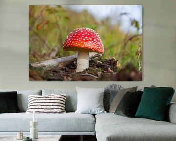 L'agaric moucheté dans les points rouges et blancs de l'automne sur Marco Leeggangers