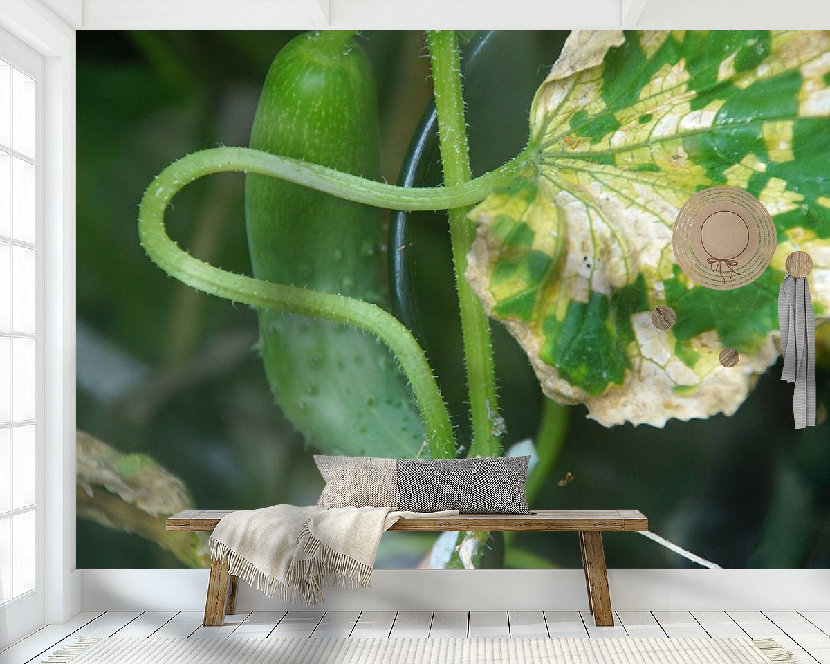Raumvorschau