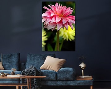 Dahlia with dewdrops by Jolanda van Eek en Ron de Jong