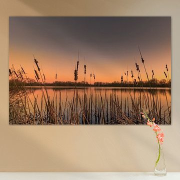 Coucher de soleil sur la vallée du lac Dam à Destelbergen