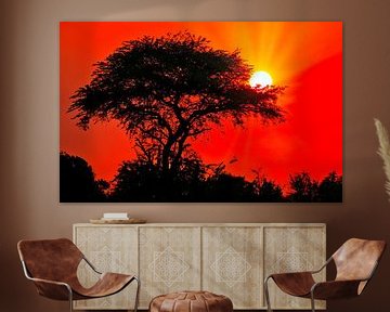 Sonnenaufgang in Afrika, Uganda von W. Woyke
