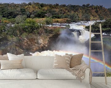 De Murchison Falls in Oeganda van W. Woyke