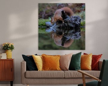 Eichhörnchen mit Reflexion im Wasser von Sylfari Photography