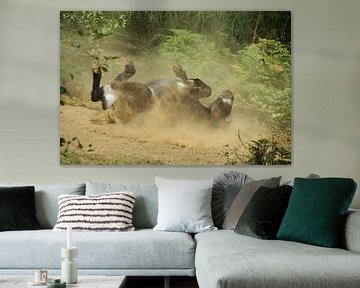 donkey rolling in the sand by wil spijker