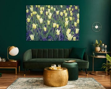 Bloementuin | Tulpen en blauwe druifjes