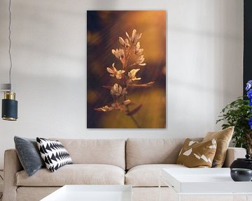 Sonnenstrahlen von Mijke Bressers