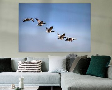 Flight geese by Willem Lutgerink