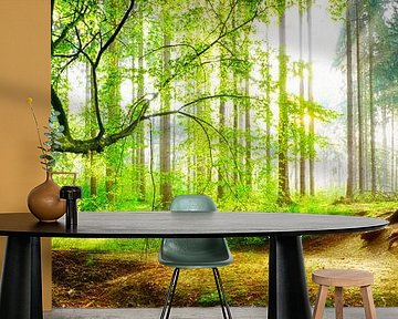 Sunrise in the forest by Günter Albers