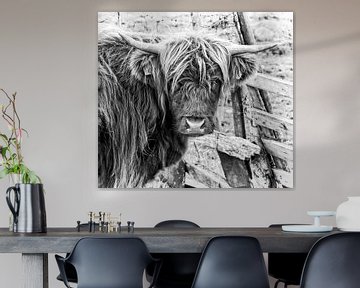 Schottische Highlander-Kuh in schwarz-weiß von Atelier Liesjes
