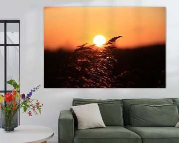 Sunset by Marijn Van Hattum