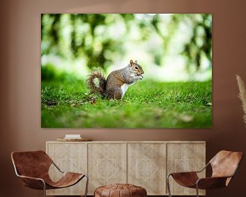 Squirrel in green by Thijs van Beusekom