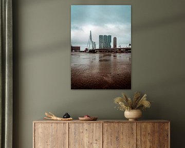 Erasmus Bridge Rotterdam by Thijs van Beusekom