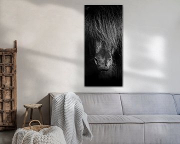 Paard zwart wit van Jeroen Mikkers