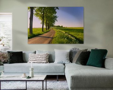 Groninger Landschaft bei Appingedam, Groningen, Niederlande von Henk Meijer Photography