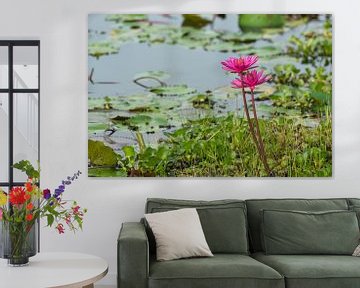 Water lilies Wasgamuwa Lake by Lex van Doorn