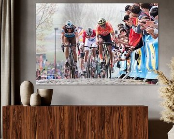 Paterberg Ronde van Vlaanderen 2019 van Leon van Bon
