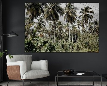 Palmbomen van Fotoverliebt - Julia Schiffers
