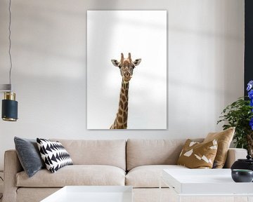 Langer Hals und Kopf einer Giraffe von Bobsphotography