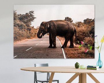 Éléphant sur Fotoverliebt - Julia Schiffers