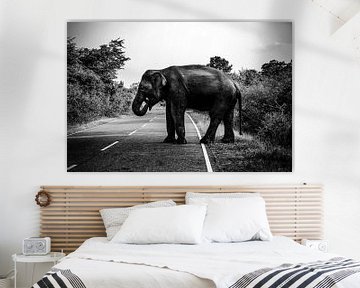 Elefant von Fotoverliebt - Julia Schiffers
