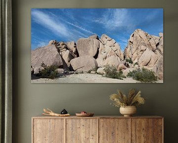 Joshua Tree Nationaal Park, Californië, USA van de Roos Fotografie