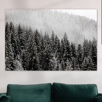 Snowy trees in the fog