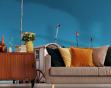 Historic bathing carts on Norderney by Steffen Peters