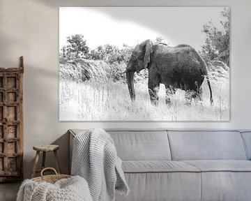 Zwart wit foto van afrikaanse olifant van Bobsphotography