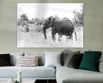 Zwart wit foto van afrikaanse olifant van Bobsphotography