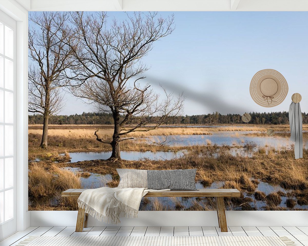 Raumvorschau