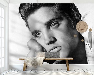 Elvis Presley 1956 by Bridgeman Images